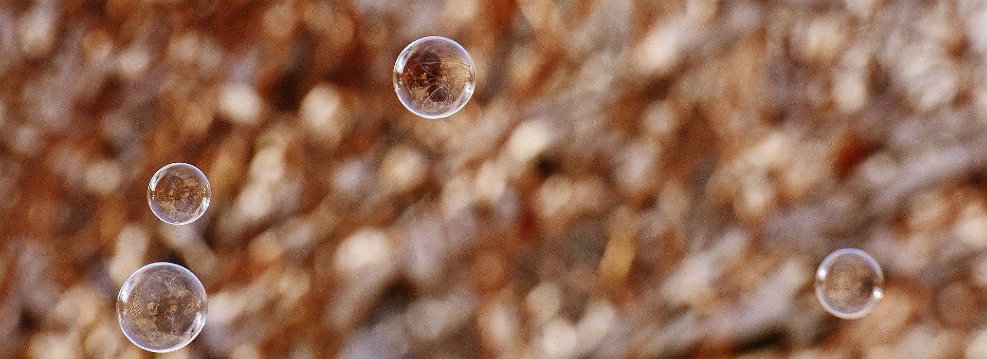 Bubble