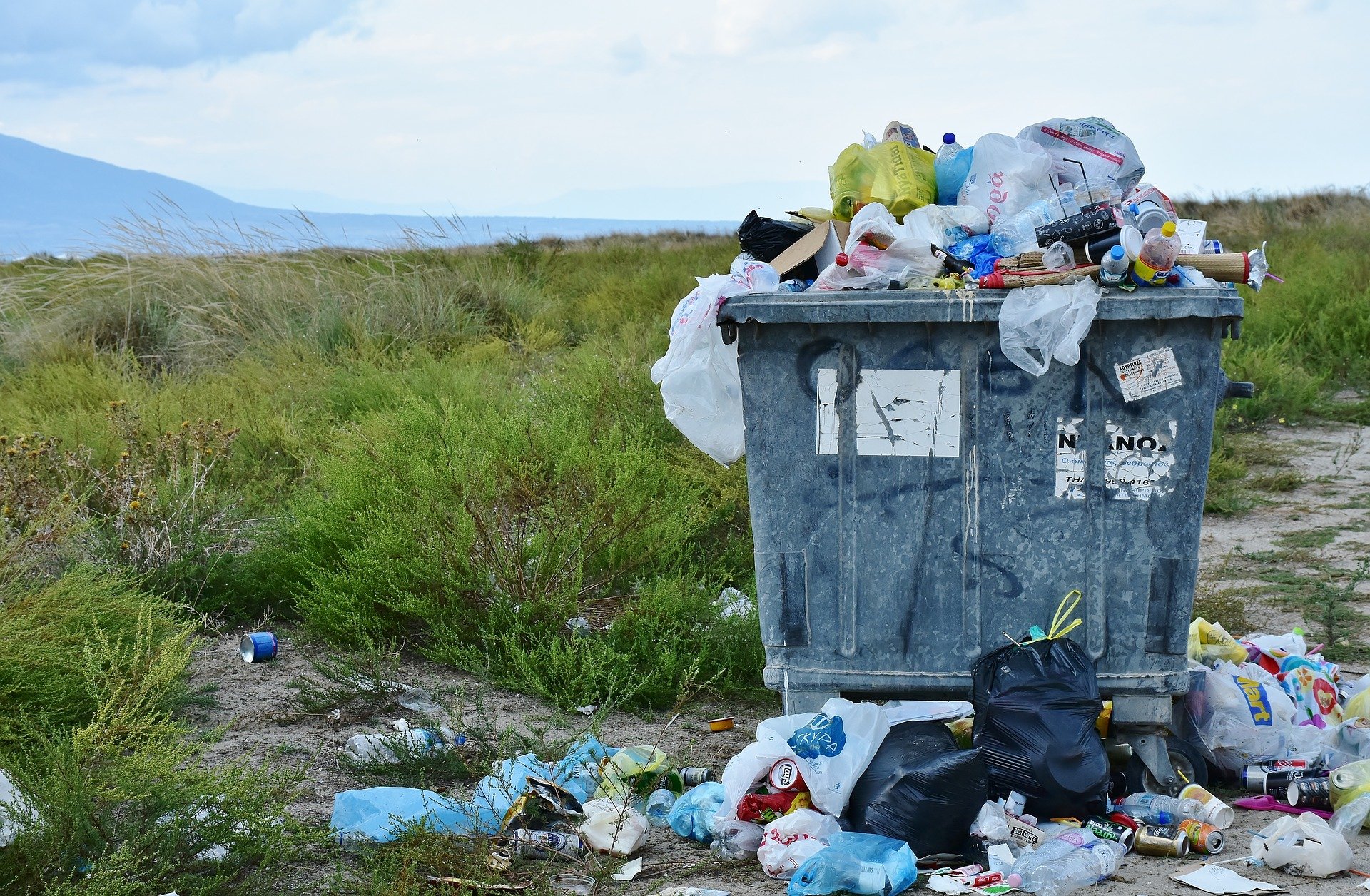 Everyone Loves Trash